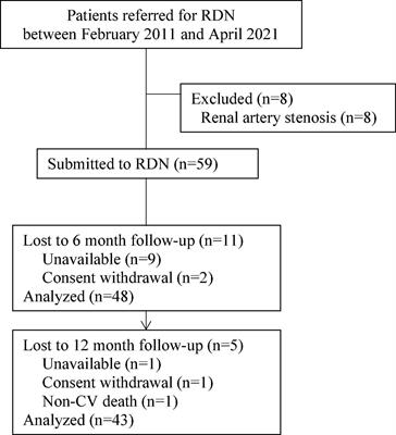 Favorable effect of renal denervation on elevated renal vascular resistance in patients with resistant hypertension and type 2 diabetes mellitus